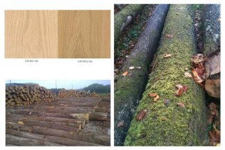 橡木、胡桃、白蜡木还在傻傻分不清楚？手把手教你认识现代极简家具的使用进